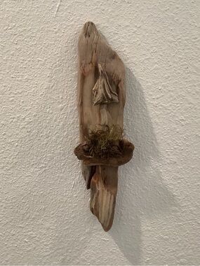 Driftwood Art, Driftwood Mushroom, Mushroom Art, Driftwood Wall Art